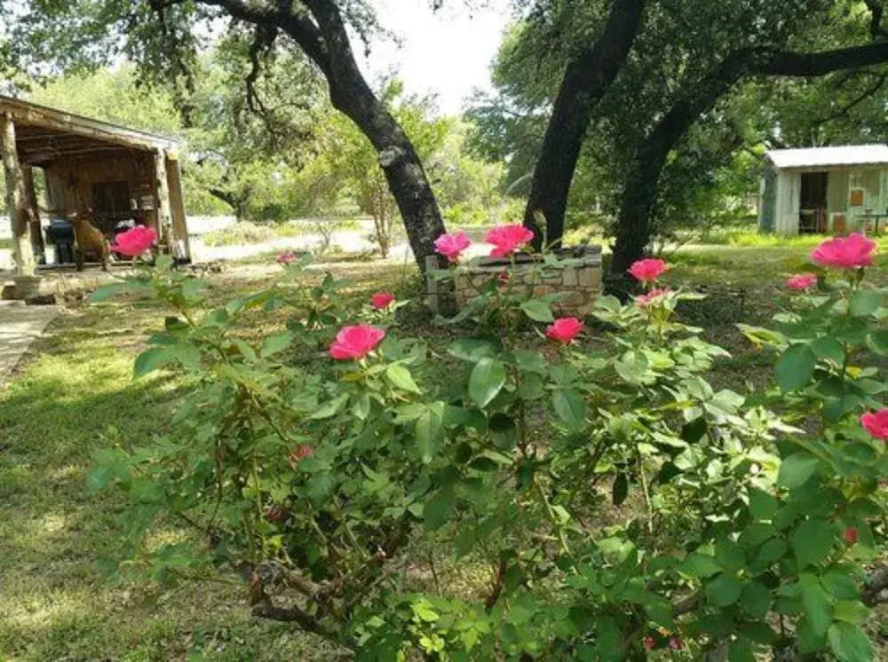 Chantilly Lace Country Inn - Bed And Breakfast - Adult Only