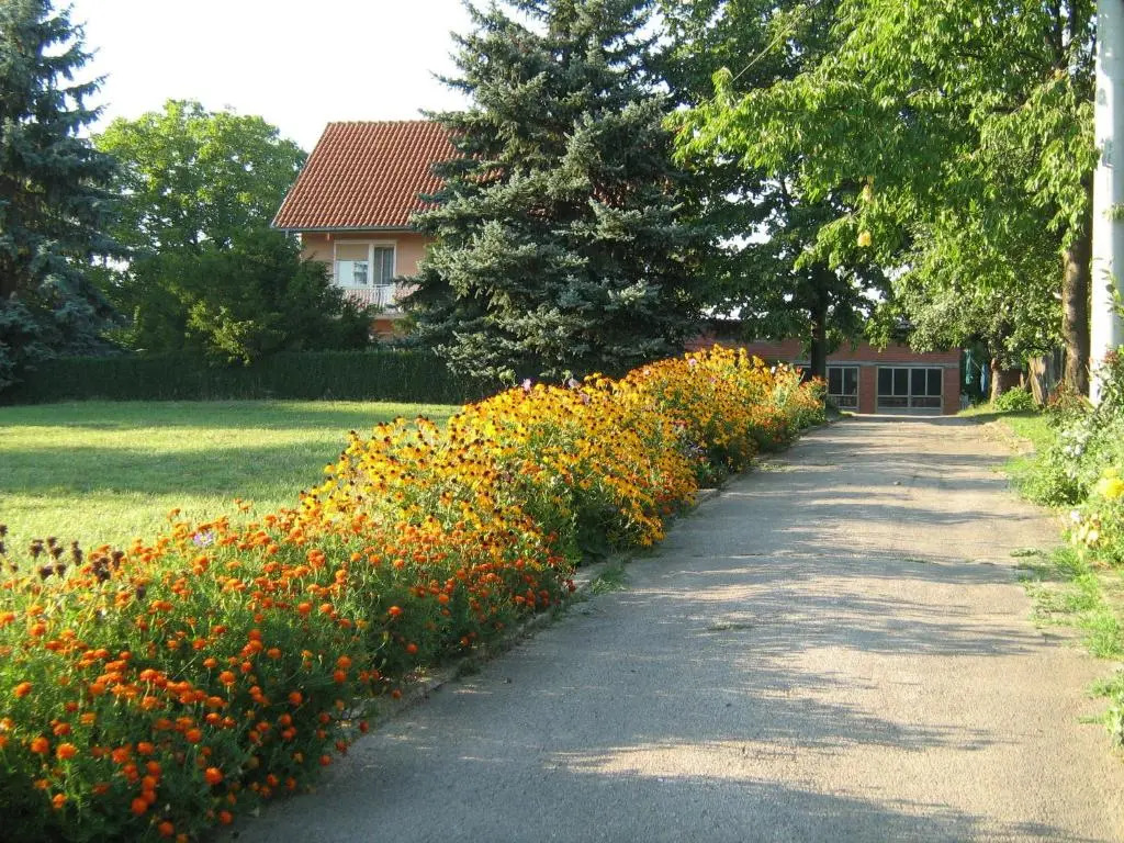 Apartments Domaćinstvo Nikolić