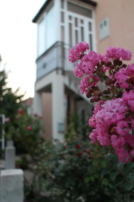 Apartman Anja