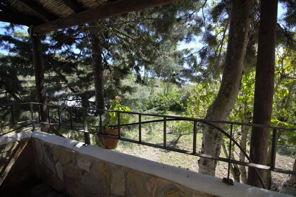 Casa Olivos