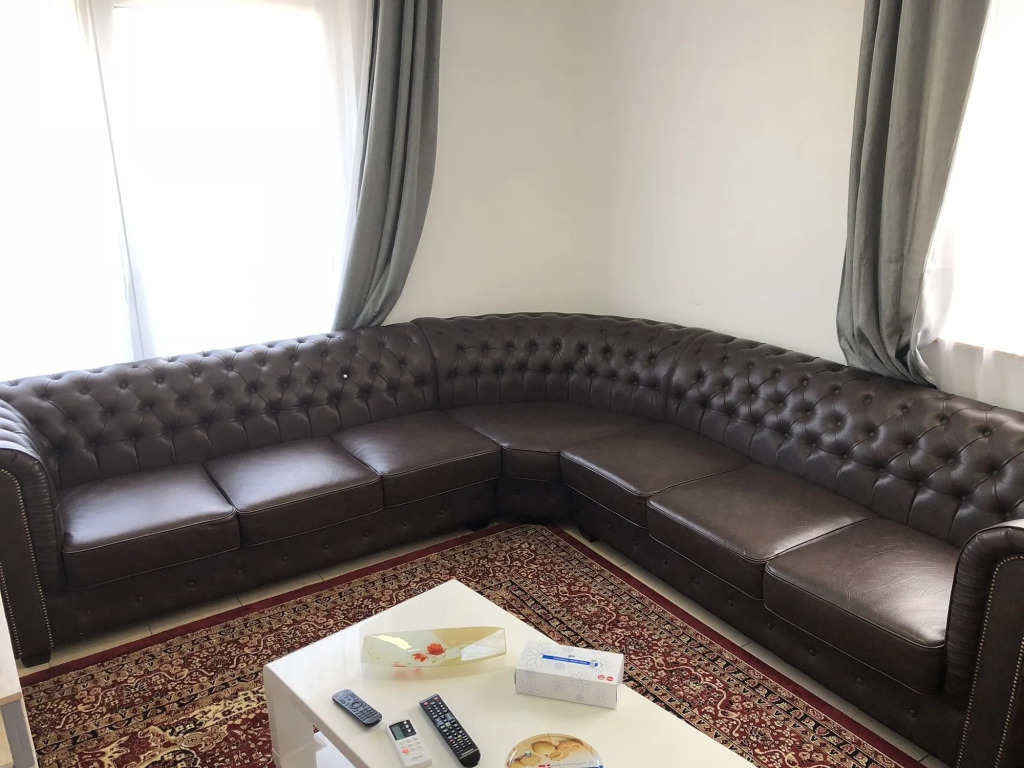 Sahara Falcon