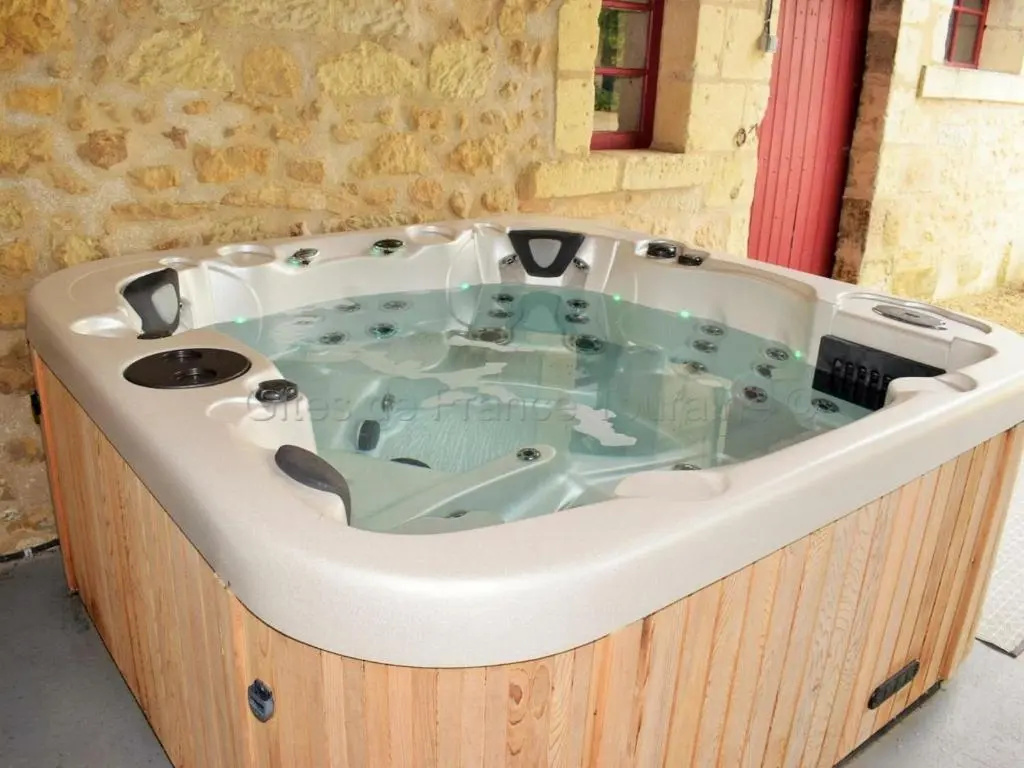 Élégante Demeure 17e avec Spa, Sauna et Authentique Cheminée, proche Châteaux de la Loire - FR-1-381-348