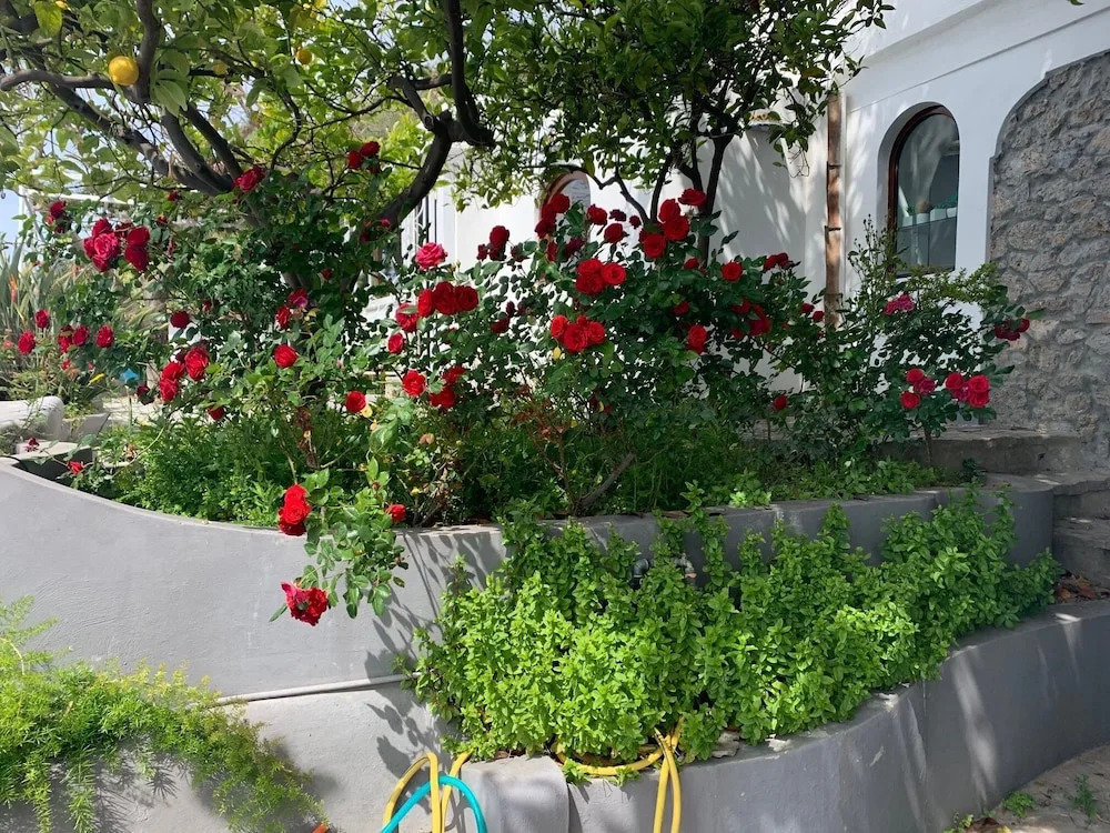 Casa Reverie