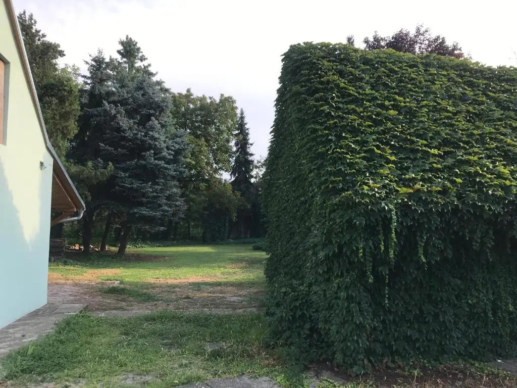 PB Apartman sa vrtom