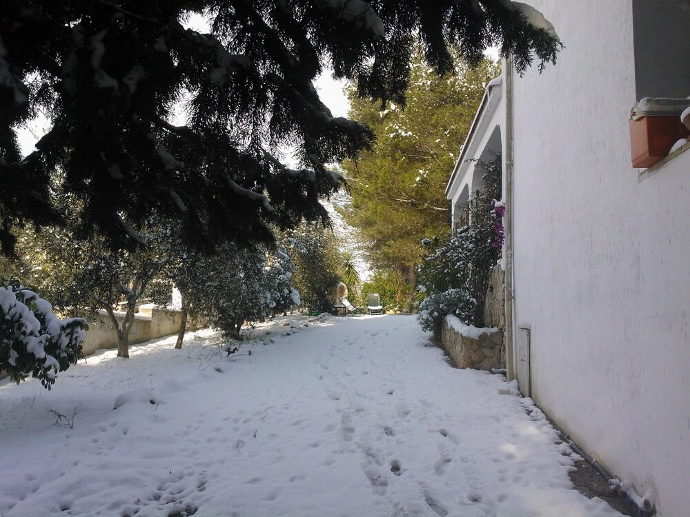 Villa Pineta