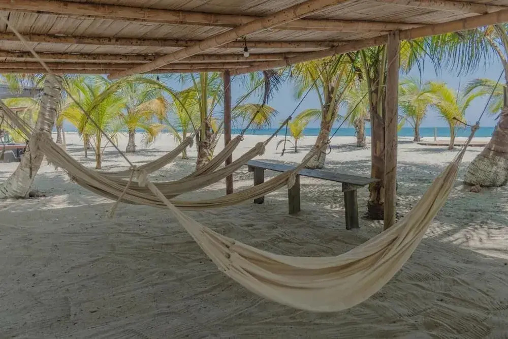 Brisa Viva Mancora
