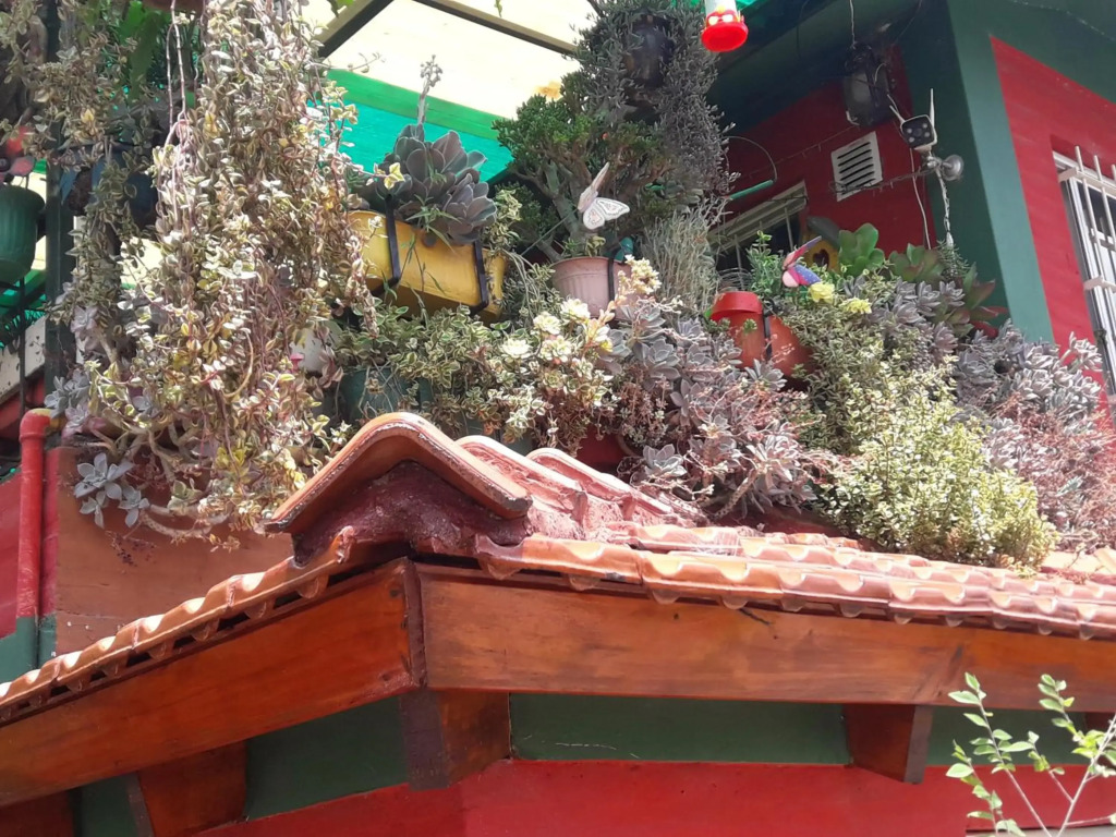 El Buho Apartamentos