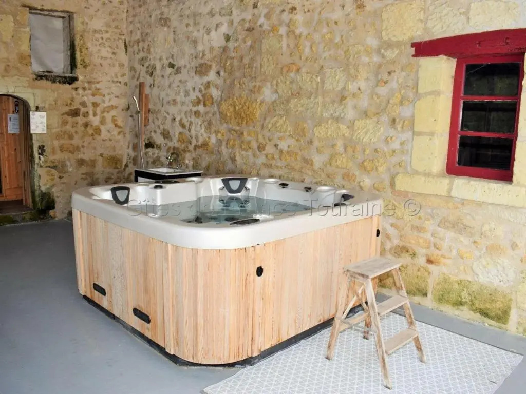 Élégante Demeure 17e avec Spa, Sauna et Authentique Cheminée, proche Châteaux de la Loire - FR-1-381-348