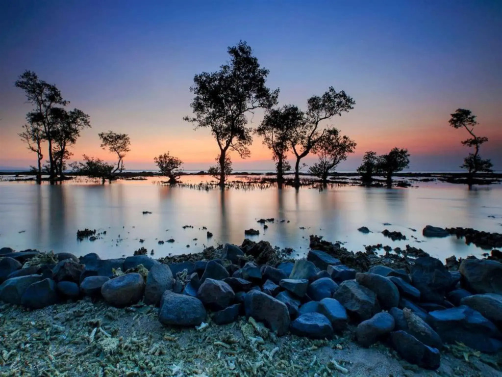 The Acacia Anyer
