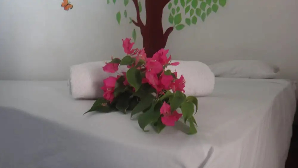Hostel Sonati