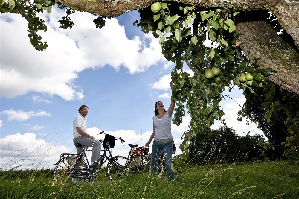 De Twee Linden