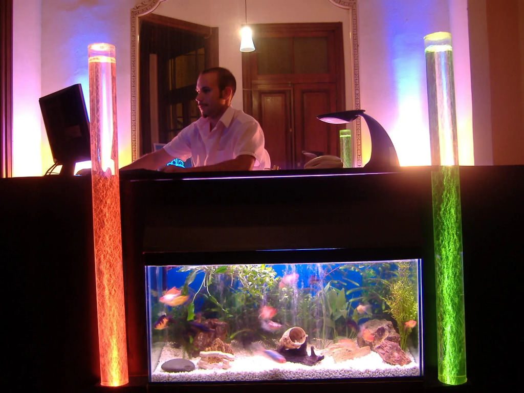 La Rocca Hostel