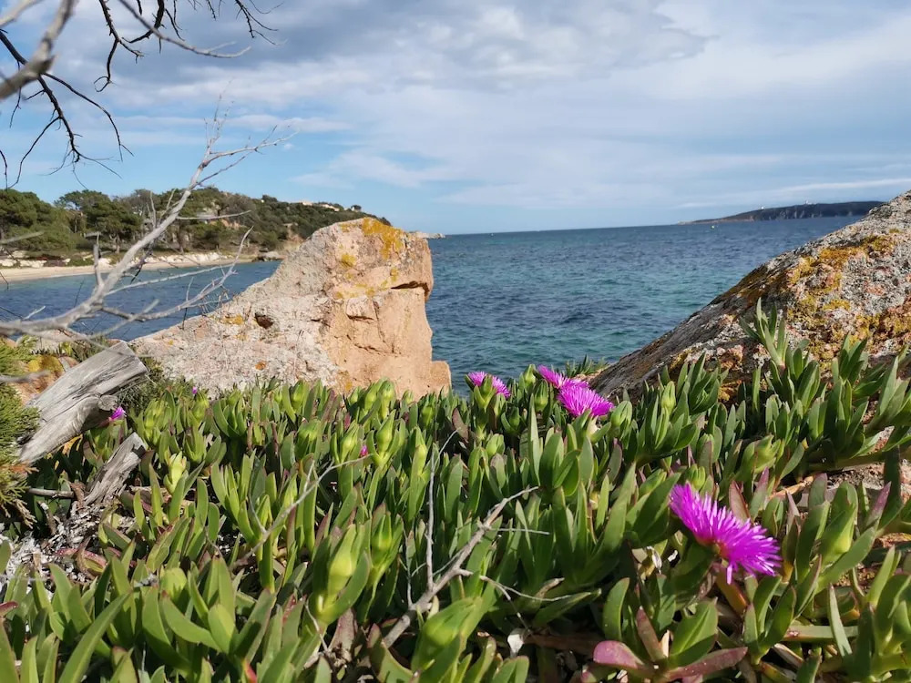 Villa Porto Vecchio