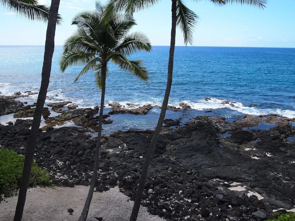 Kona Nalu Oceanfront Condo & More!