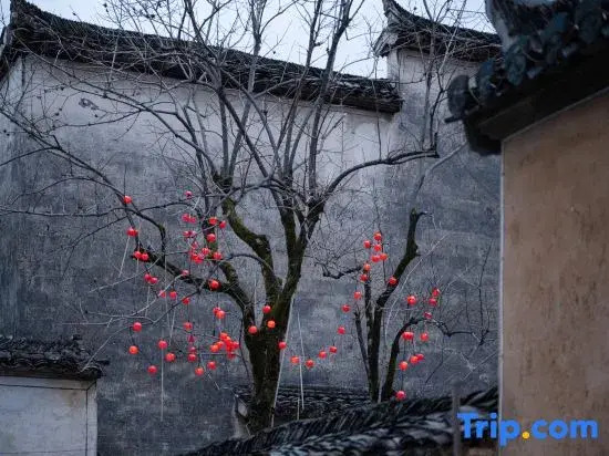 Hongcun GusheGuxiang Experience Homestay