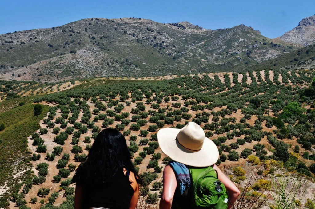 Cortijo La Presa