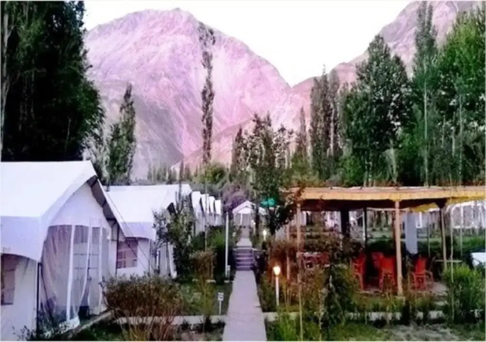 Saser Camp Nubra