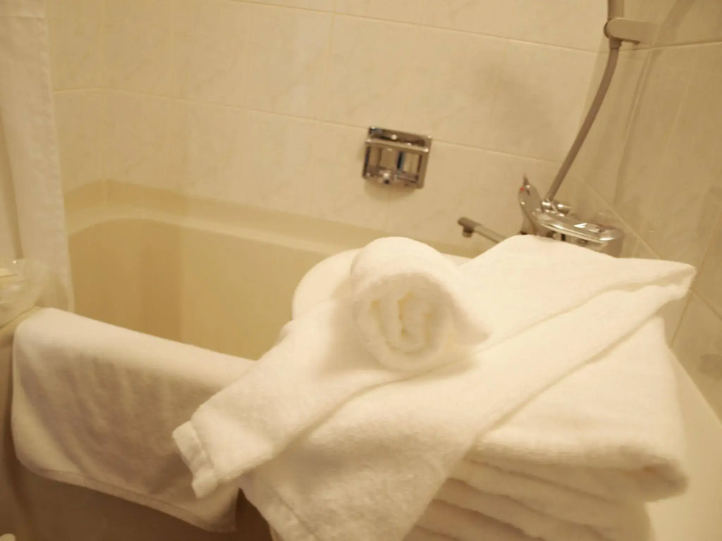 Hotel Keihan Tenmabashi Ekimae