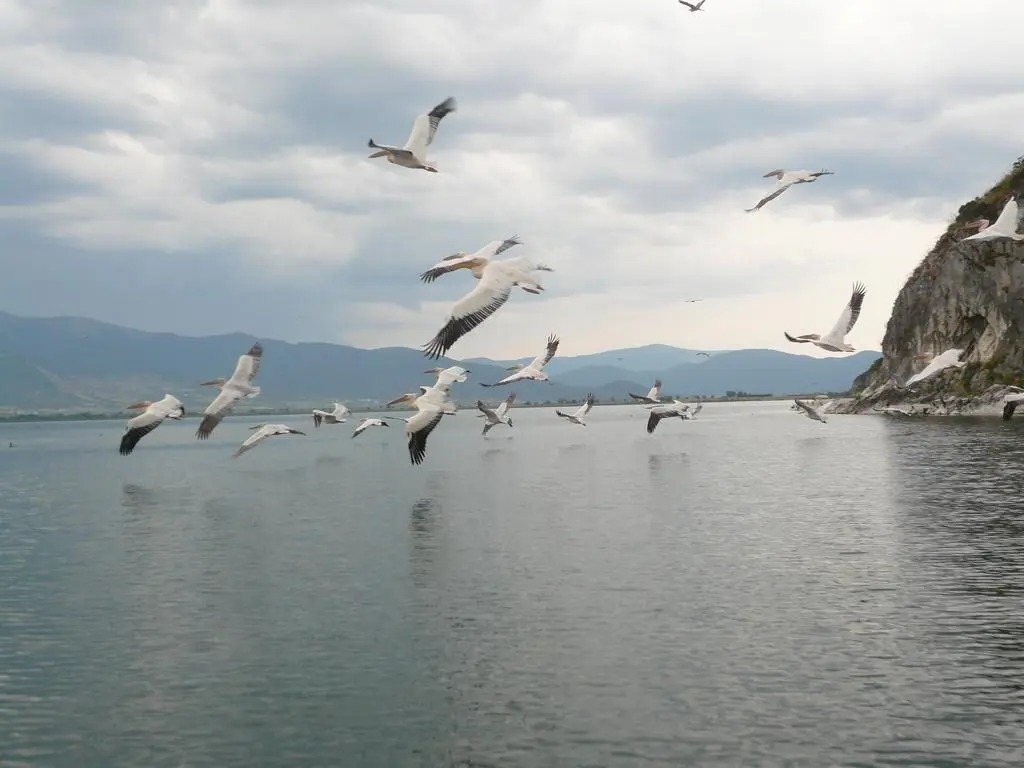 Philippos Hotel
