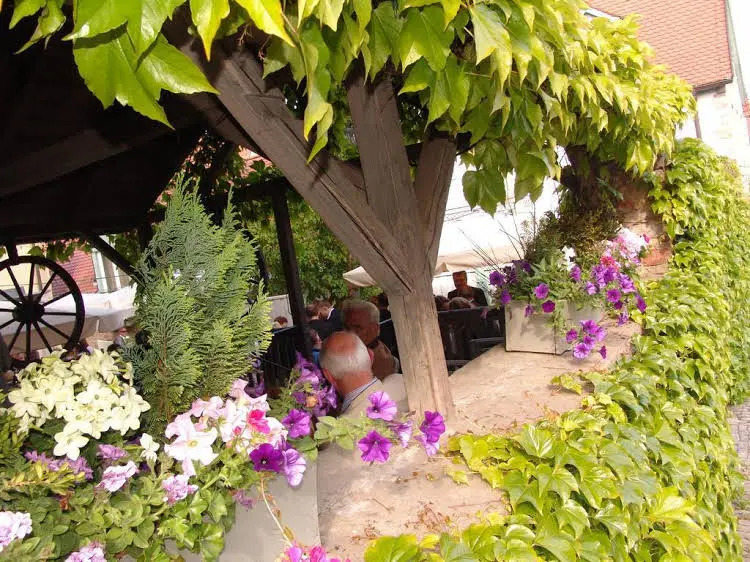 Gasthaus & Weingut zum Stern