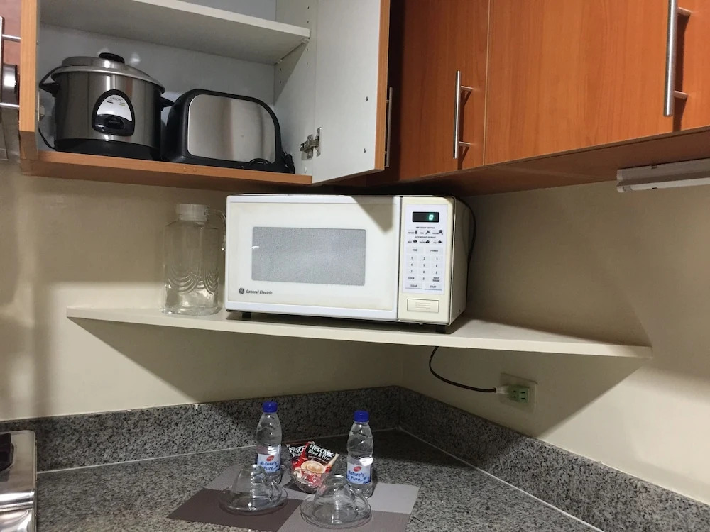 1 Br Robinsons Place Manila - Rpr 09
