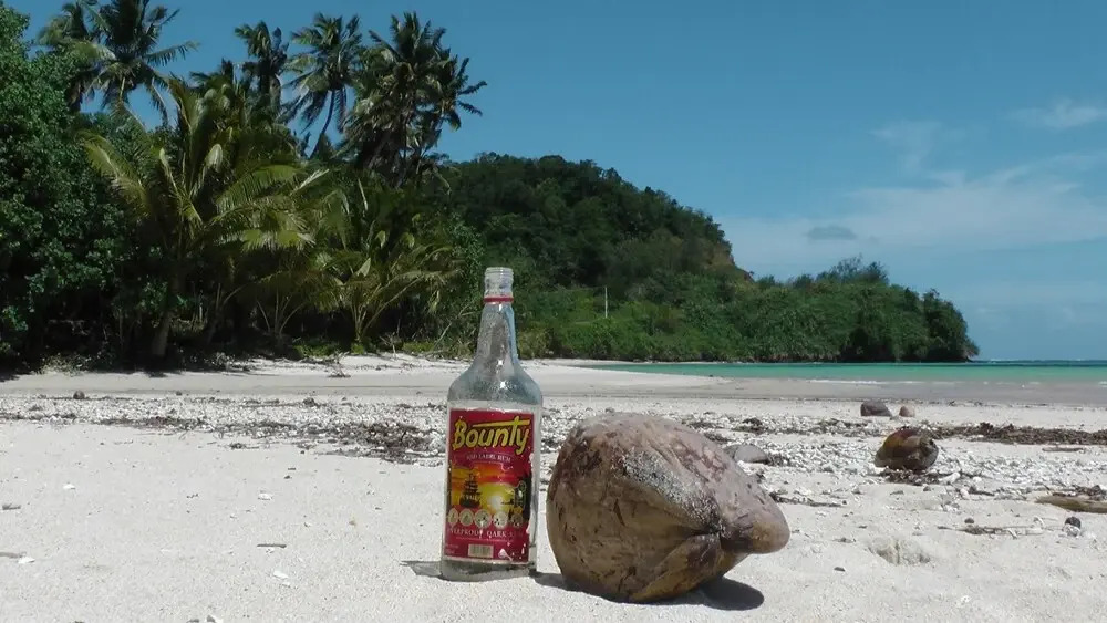 Fijian Oasis