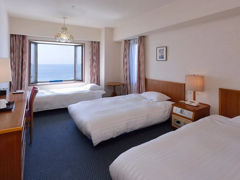 Hikone View Hotel
