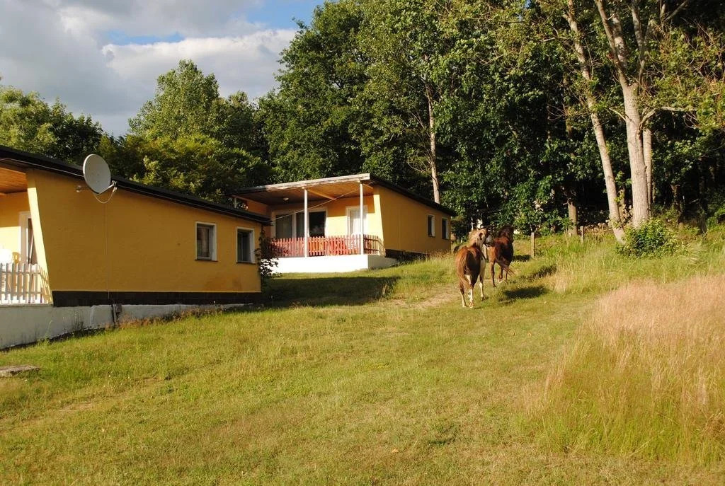 Bungalows Zur Alten Fähre