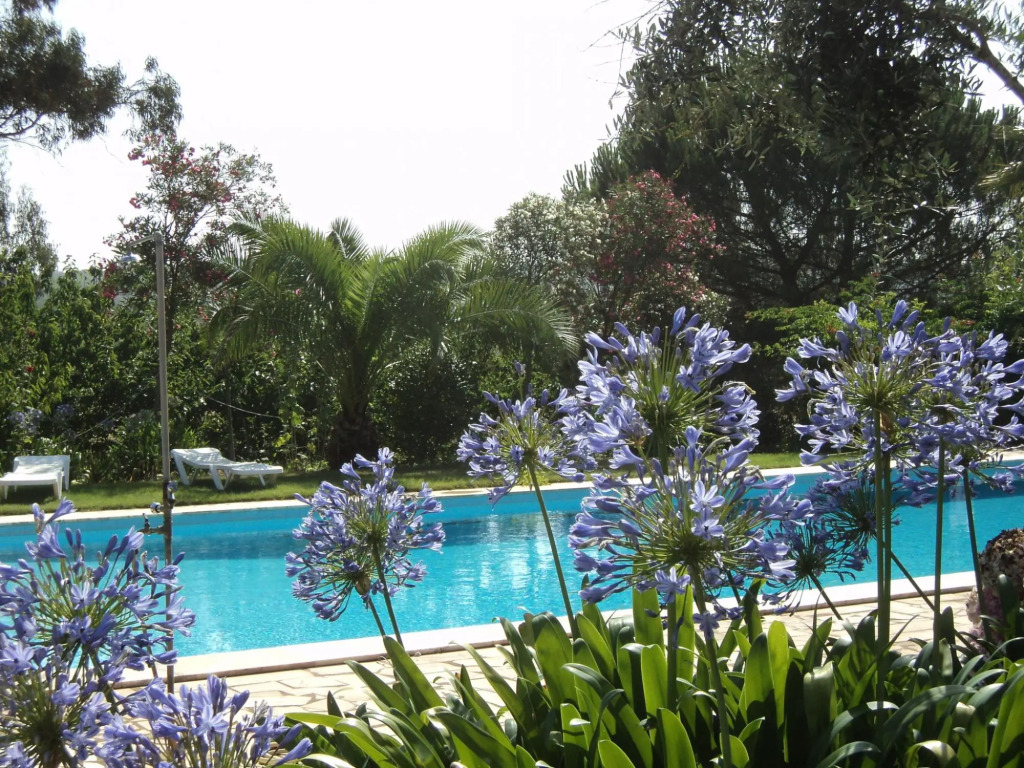 Shared Farmhouse Near Serra Monfuradoca