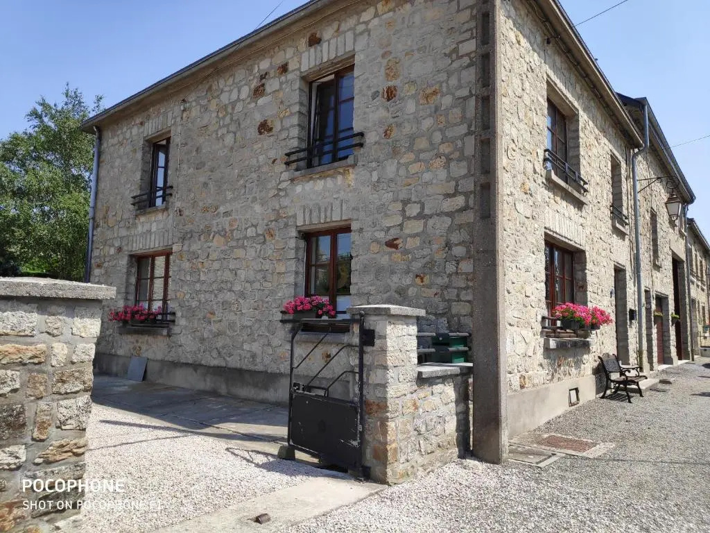 La chouette au bouleau