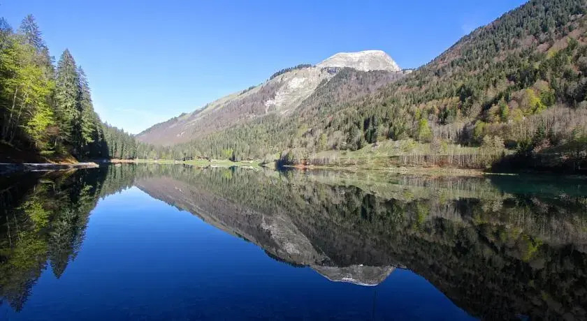 Chalet Plagnat