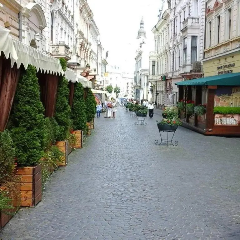 Central Magnat Cinema