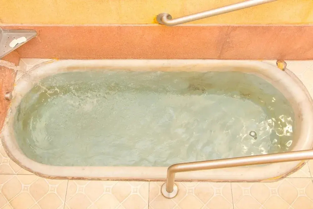 Hotel Caldas da Imperatriz