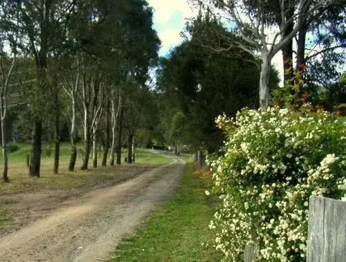 Giba Gunyah Country Cottages