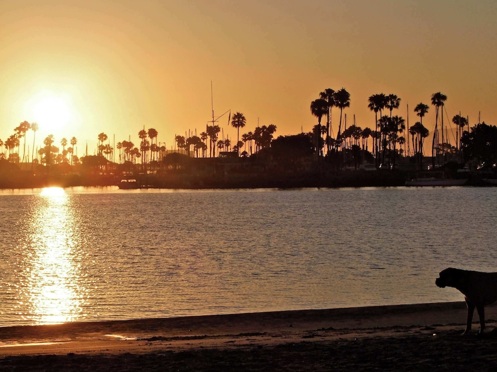 Walk to Beach, Tropical Patio, World Cup, Sleeps 5