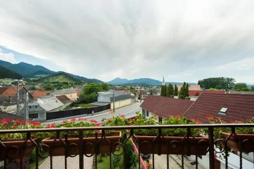 Camere de inchiriat Casa cu flori