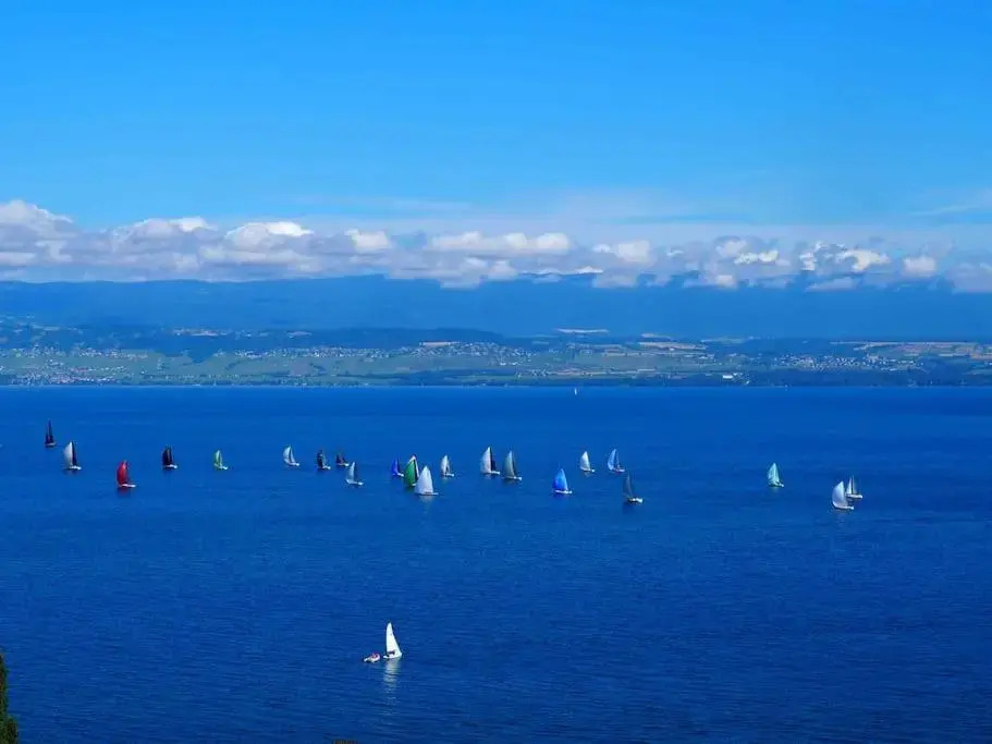 T2 « lémanesque » aux nuances du lac avec jardin