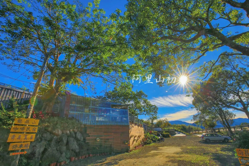 阿里山-山日茶旅民宿