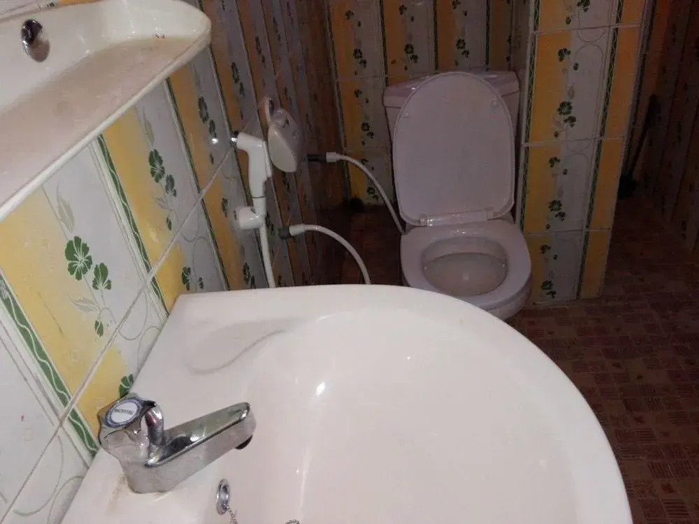 New Green View Guest House Kithal Ella