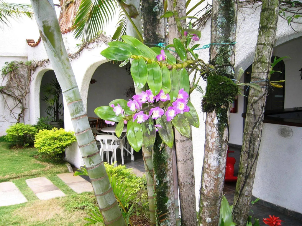 Hotel Il Faro