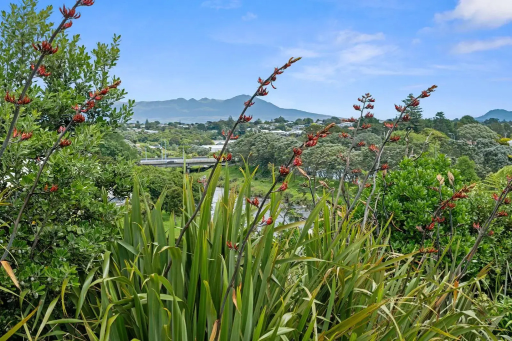 The Fritz - New Plymouth Holiday Home