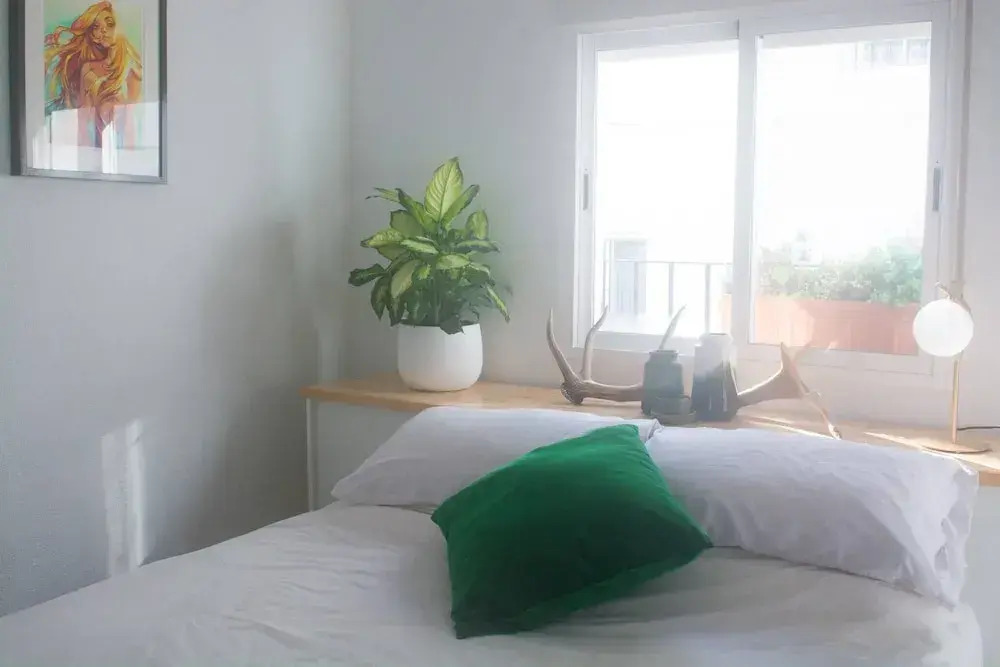 Casasol, The Perfect Location To Stay In Conil