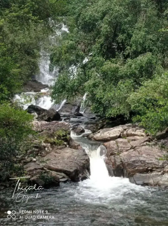 Sinharaja Serenity Retreat