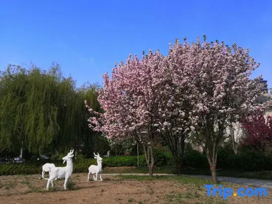 Yaoyun Hotel