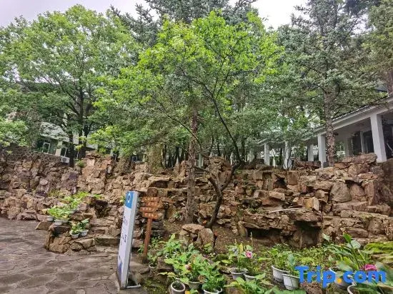 Jingpohu Jingpohu Hotel