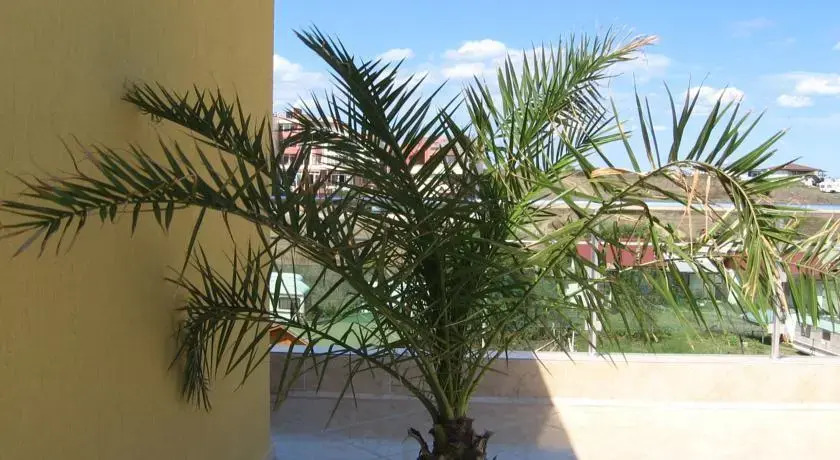 Hotel Koraba