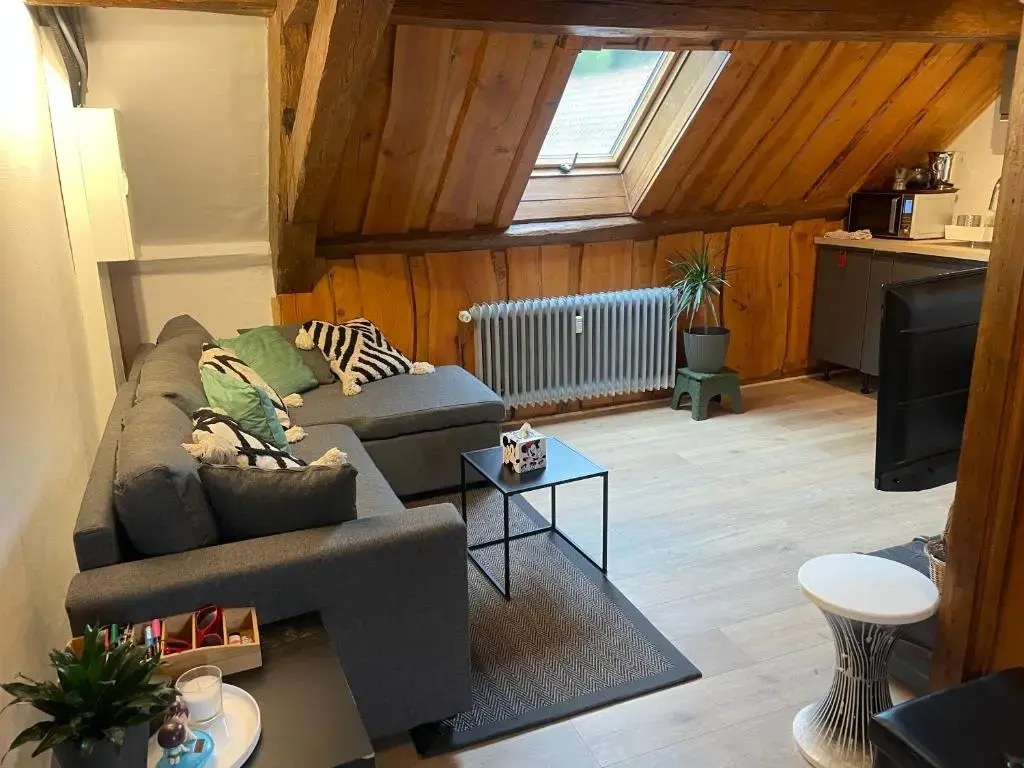 Appartement 3 pieces centre du Hohwald # 201