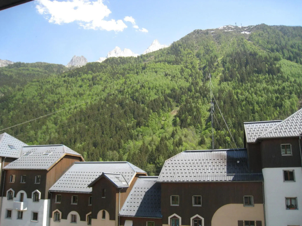 Modern Apartment in Chamonix France near Ski Area