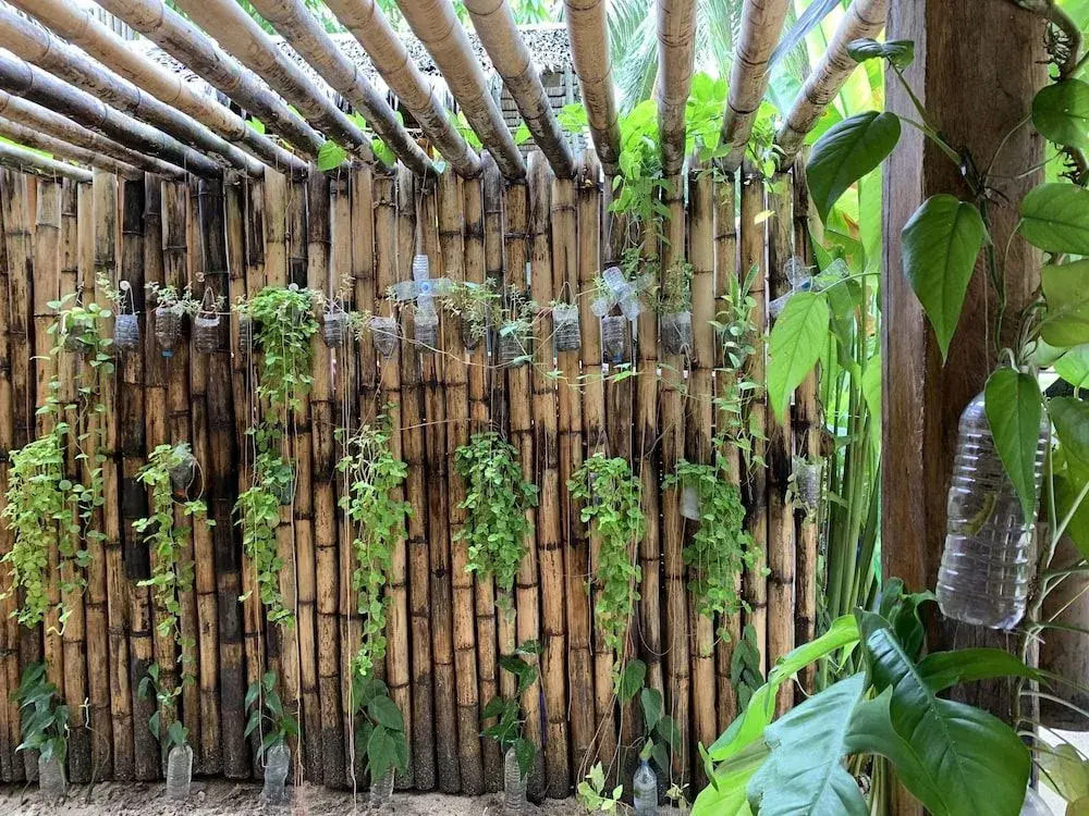 Mad Monkey Hostel Siargao