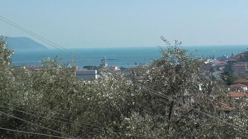 Il Golfo e i Limoni